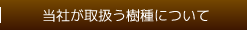 当社が扱う樹種について