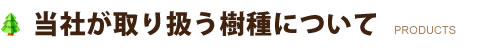 当社が取り扱う樹種について